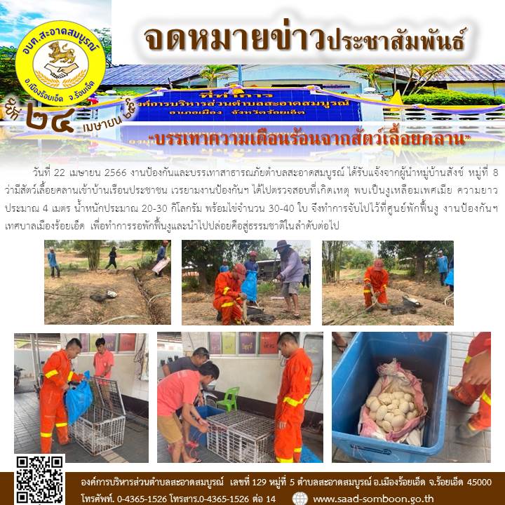 วันที่ 22 เมษายน 2566 งานป้องกันและบรรเทาสาธารณภัยได้รับแจ้งจากผู้นำ ม.8 ว่ามีสัตว์เลื้อยคลานเข้าบ้านเรือนได้ไปตรวจสอบที่เกิดเหตุพบเป็นงูเหลือมความยาวประมาณ 4 ม. พร้อมไข่จำนวน 30-40 ใบ จึงทำการจับไปไว้ที่ศูนย์พักฟื้นงูงานป้องกันฯ ทต.เมืองร้อยเอ็ด 