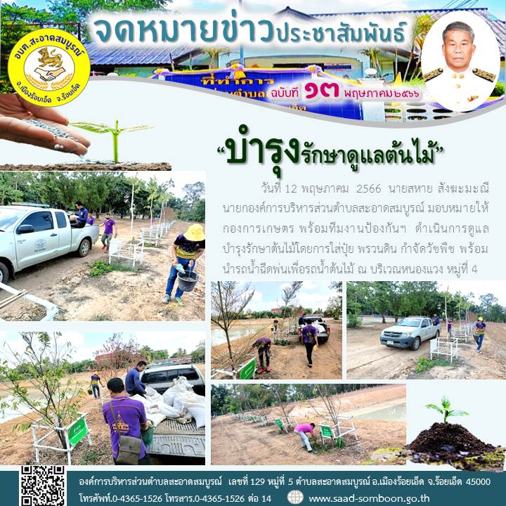 วันที่ 12 พฤษภาคม  2566  นายสหาย สังฆะมะณี นายกองค์การบริหารส่วนตำบลสะอาดสมบูรณ์ มอบหมายให้ กองการเกษตร พร้อมทีมงานป้องกันฯ  ดำเนินการดูแลบำรุงรักษาต้นไม้โดยการใส่ปุ๋ย พรวนดิน กำจัดวัชพืช พร้อมนำรถน้ำฉีดพ่นเพื่อรถน้ำต้นไม้ ณ บริเวณหนองแวง หมู่ที่ 4
