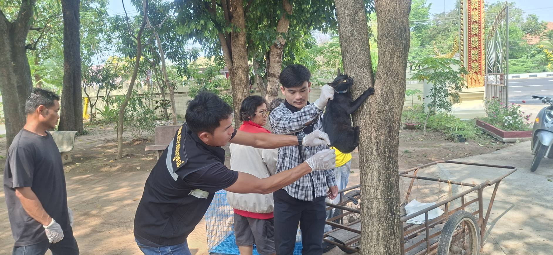 วันที่ 23-24 มีนาคม 2569 นายสหาย สังฆะมะณี นายก อบต.สะอาดสมบูรณ์ มอบหมาย กองส่งเสริมการเกษตร และเจ้าหน้าที่ อบต.สะอาดสมบูรณ์ ร่วมโครงการสัตว์ปลอดโรคคนปลอดภัยจากโรคพิษสุนัขบ้า ประจำปี 2569   ม.7 /ม.16  ม.8/ม.15  ต.สะอาดสมบูรณ์