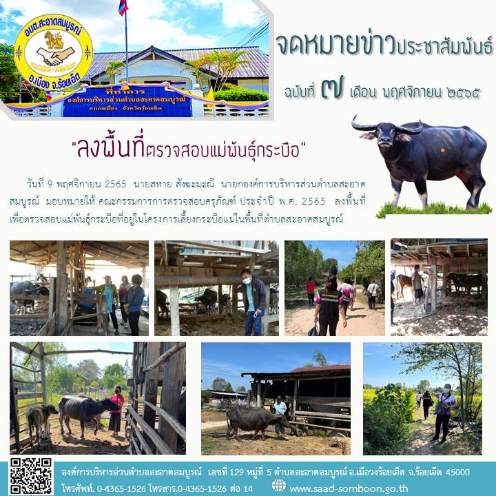 วันที่ 9 พฤศจิกายน 2565  นายสหาย สังฆะมะณี  นายกองค์การบริหารส่วนตำบลสะอาดสมบูรณ์  มอบหมายให้ คณะกรรมการการตรวจสอบครุภัณฑ์ ประจำปี พ.ศ. 2565  ลงพื้นที่เพื่อตรวจสอบแม่พันธุ์กระบือที่อยู่ในโครงการเลี้ยงกระบือแม่ในพื้นที่ตำบลสะอาดสมบูรณ์
